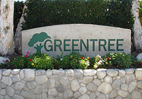 greentree